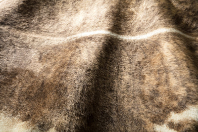Loloi Grand Canyon GC-01 Camel / Beige Area Rug