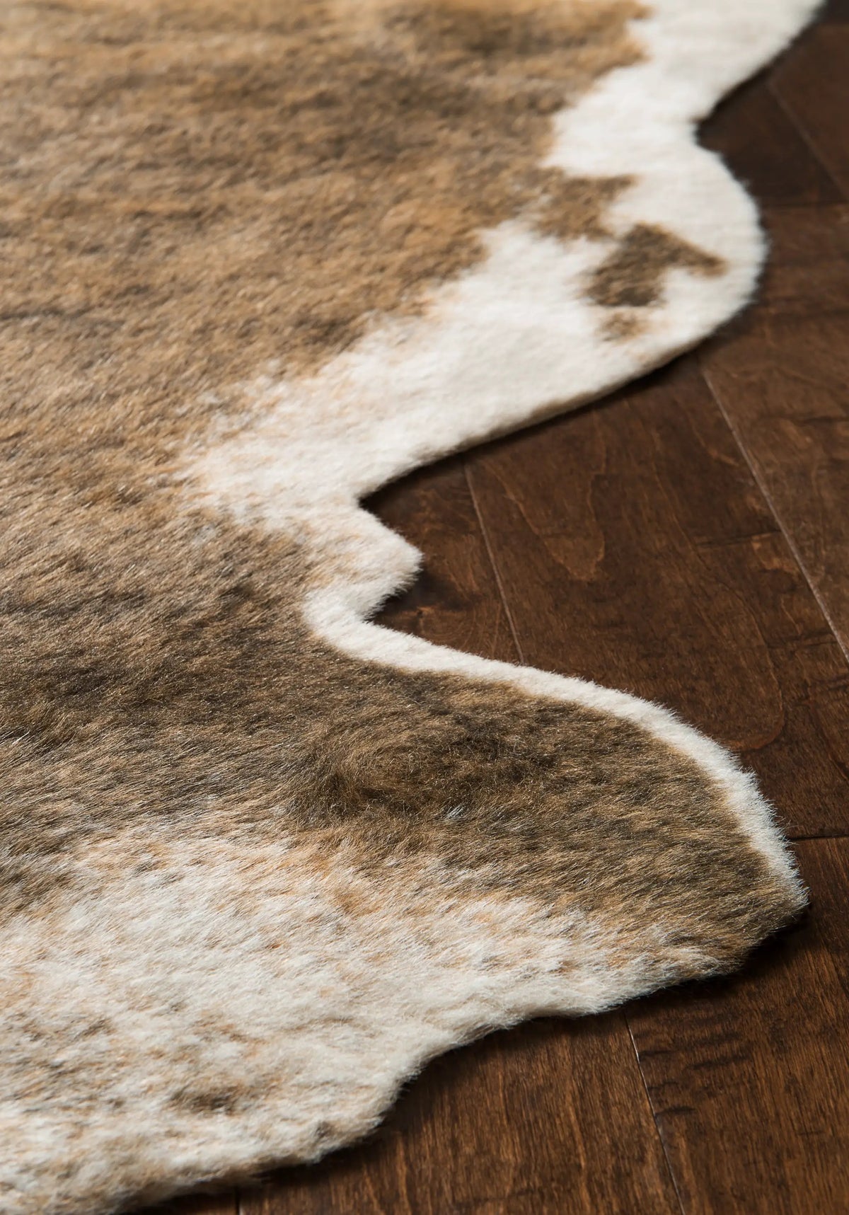 Grand Canyon GC-01 Camel / Beige Area Rug by Loloi