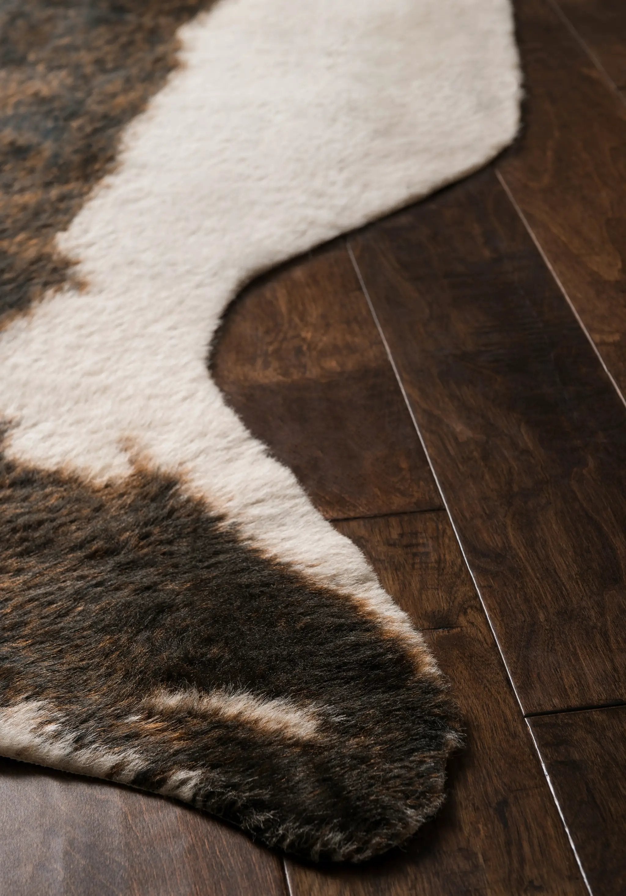Grand Canyon GC-05 Beige / Brown Area Rug by Loloi
