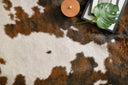 Loloi Grand Canyon GC-05 Beige / Brown Area Rug