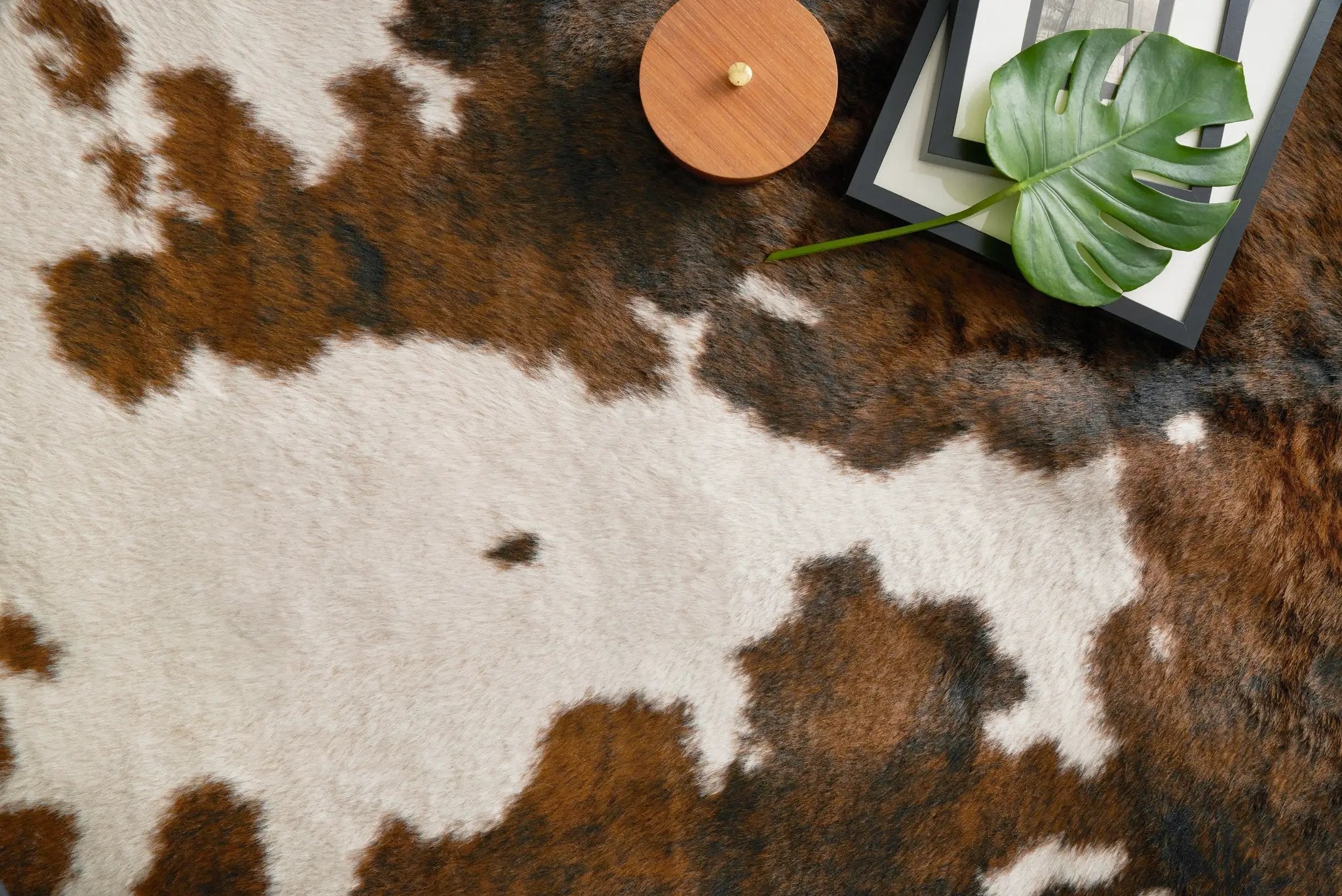Grand Canyon GC-05 Beige / Brown Area Rug by Loloi
