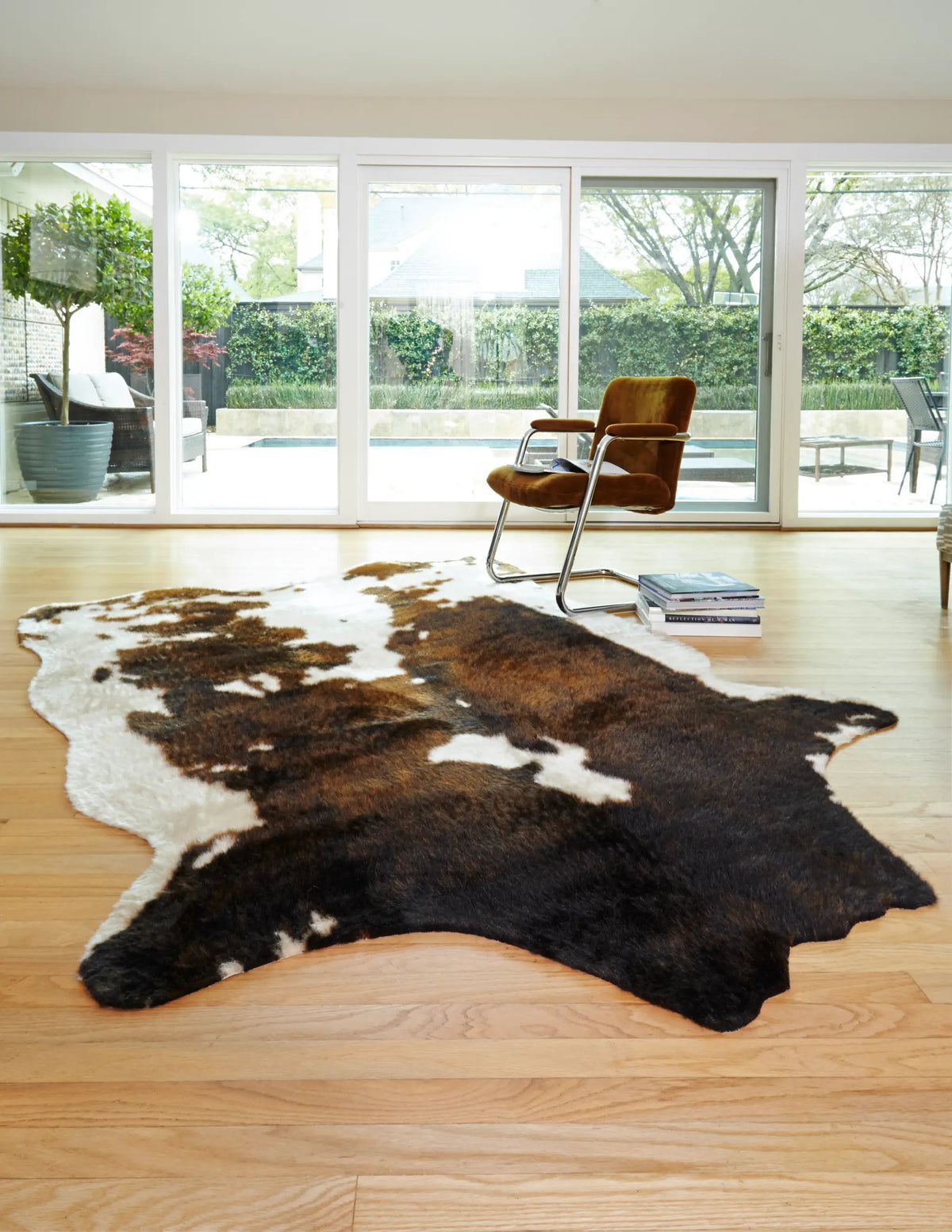 Grand Canyon GC-05 Beige / Brown Area Rug by Loloi