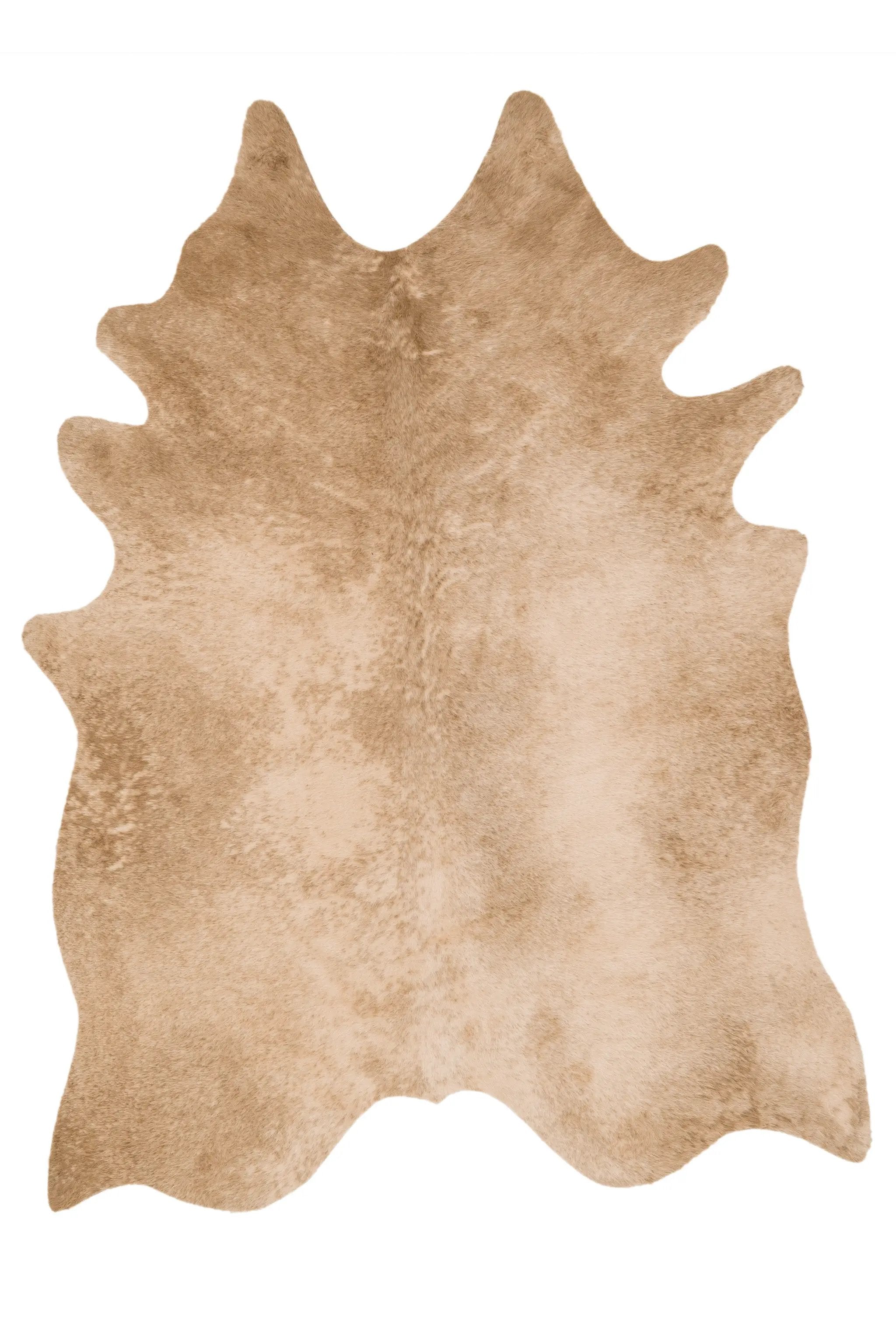 Grand Canyon GC-09 Tan Area Rug by Loloi