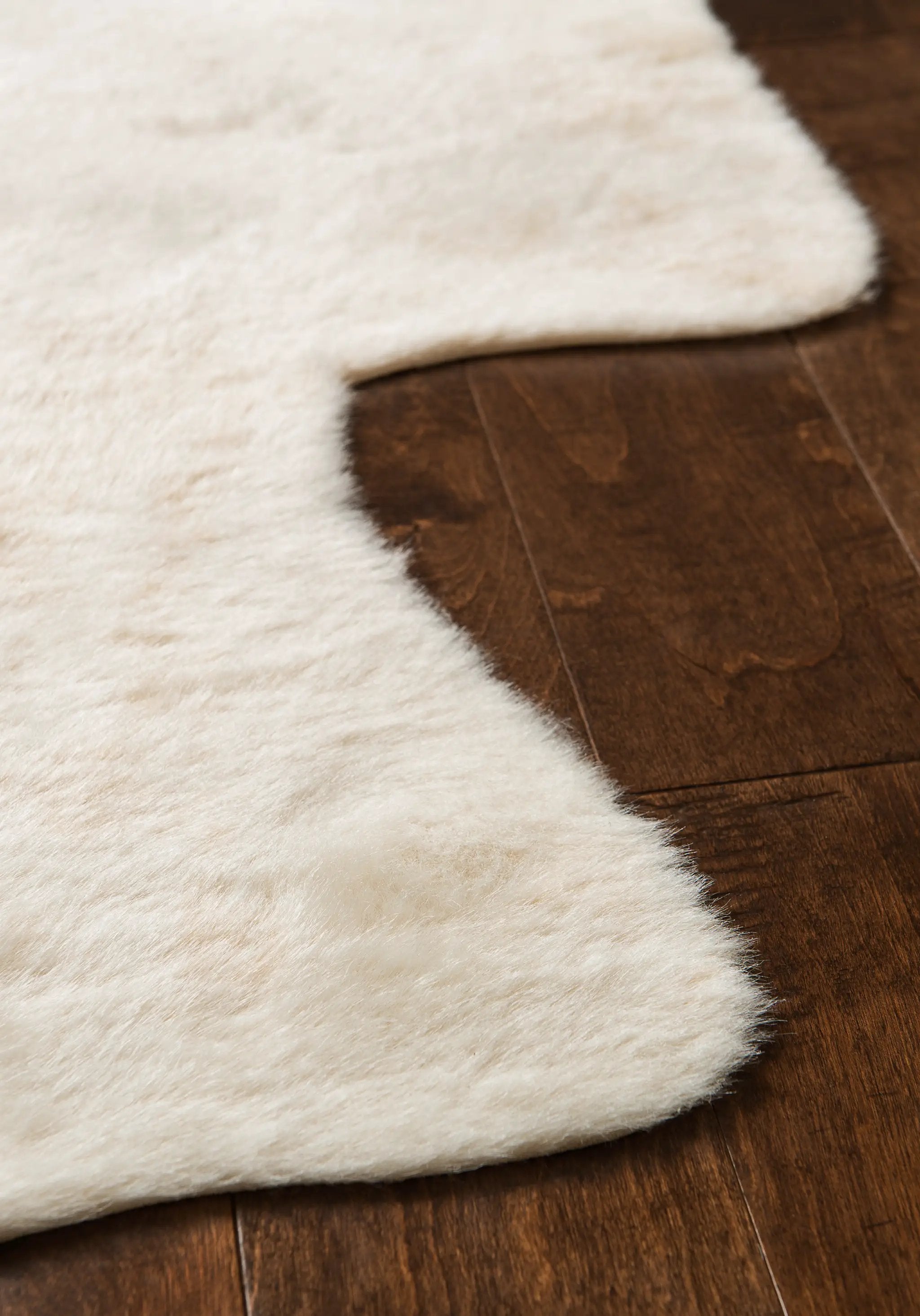 Grand Canyon GC-10 Ivory Area Rug by Loloi