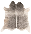 Loloi Grand Canyon GC-11 Grey / Ivory Area Rug