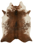 Loloi Grand Canyon GC-14 Coffee / Ivory Area Rug