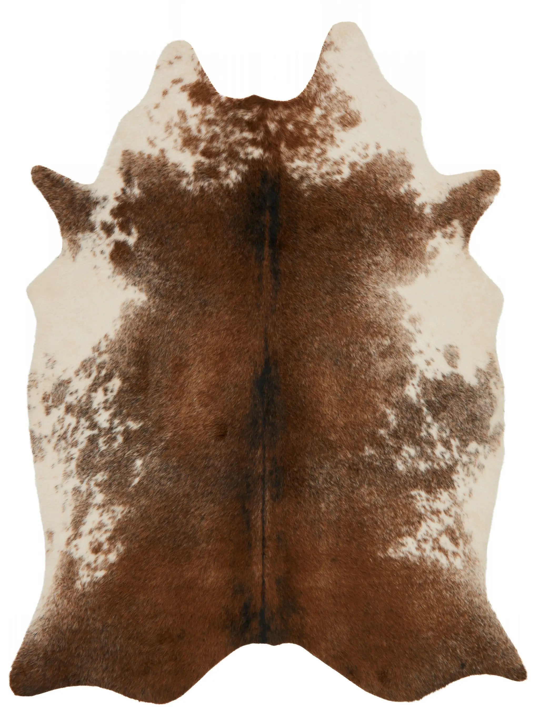 Grand Canyon GC-14 Coffee / Ivory Area Rug by Loloi