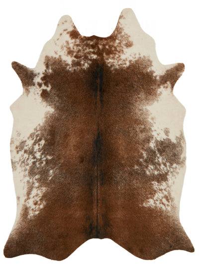 Loloi Grand Canyon GC-14 Coffee / Ivory Area Rug