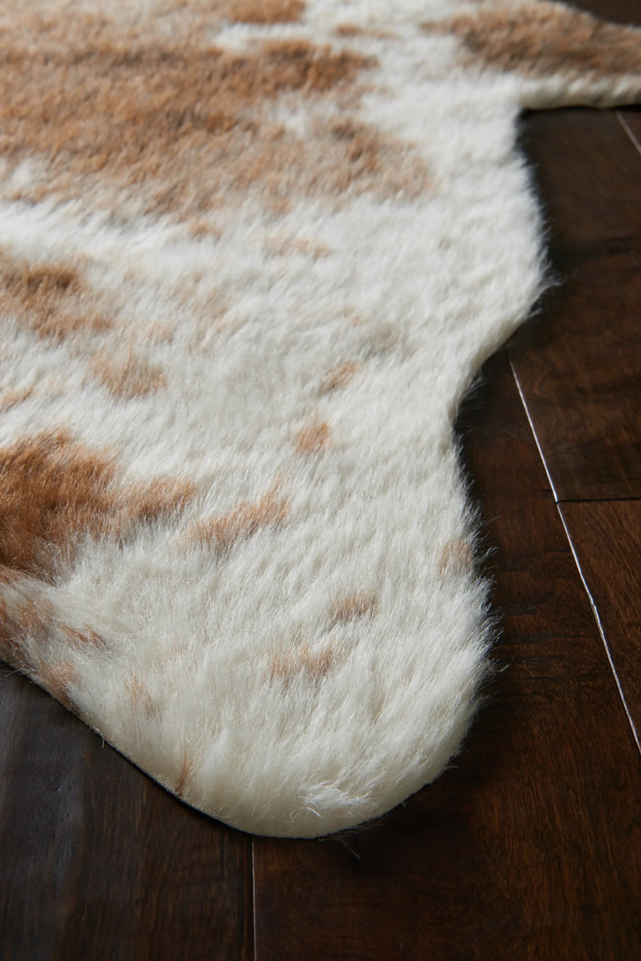 Grand Canyon GC-14 Coffee / Ivory Area Rug by Loloi