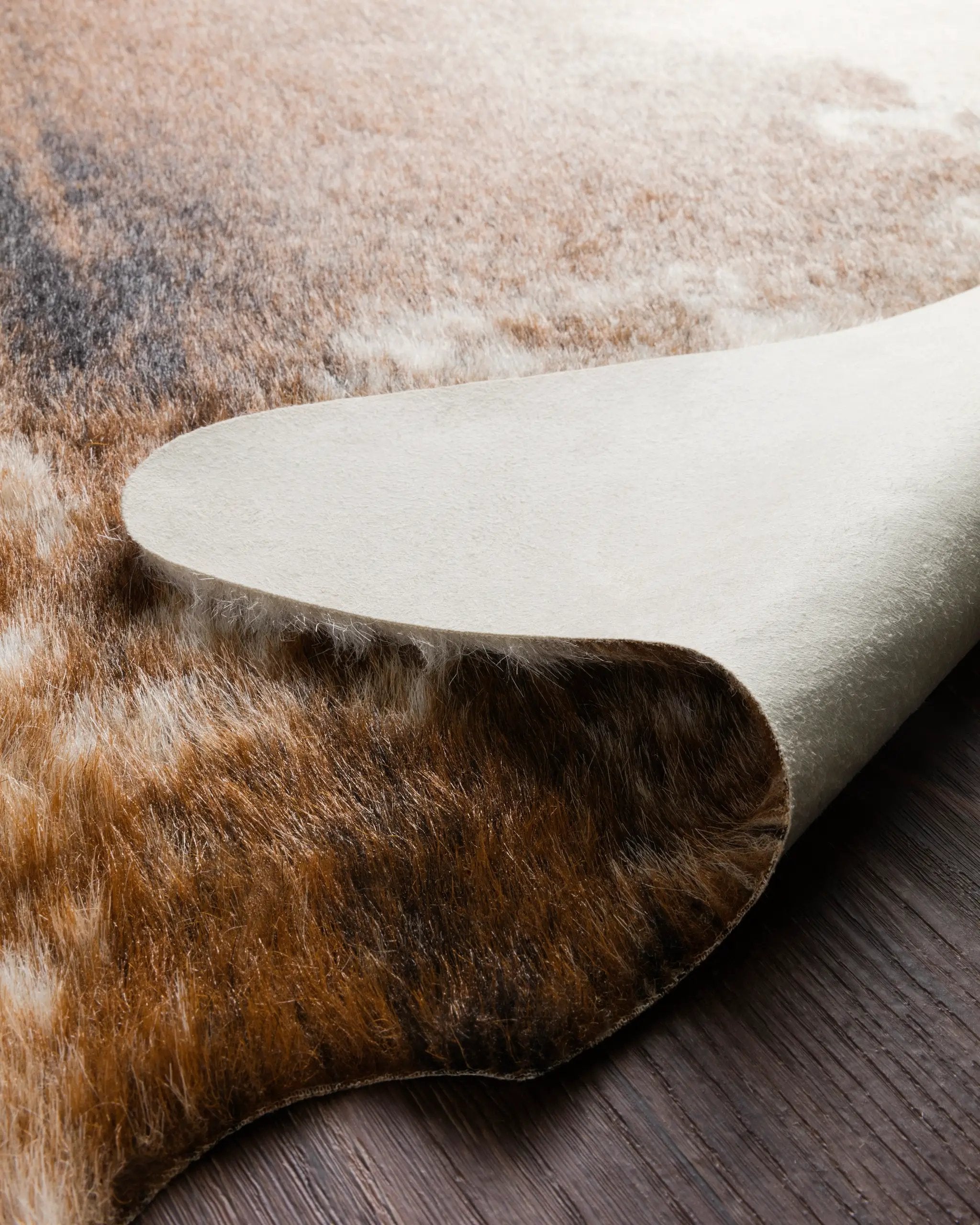 Grand Canyon GC-14 Coffee / Ivory Area Rug by Loloi