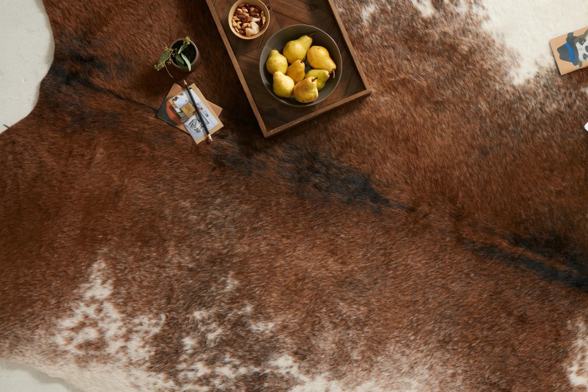 Grand Canyon GC-14 Coffee / Ivory Area Rug by Loloi