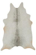 Loloi Grand Canyon GC-15 Silver / Grey Area Rug