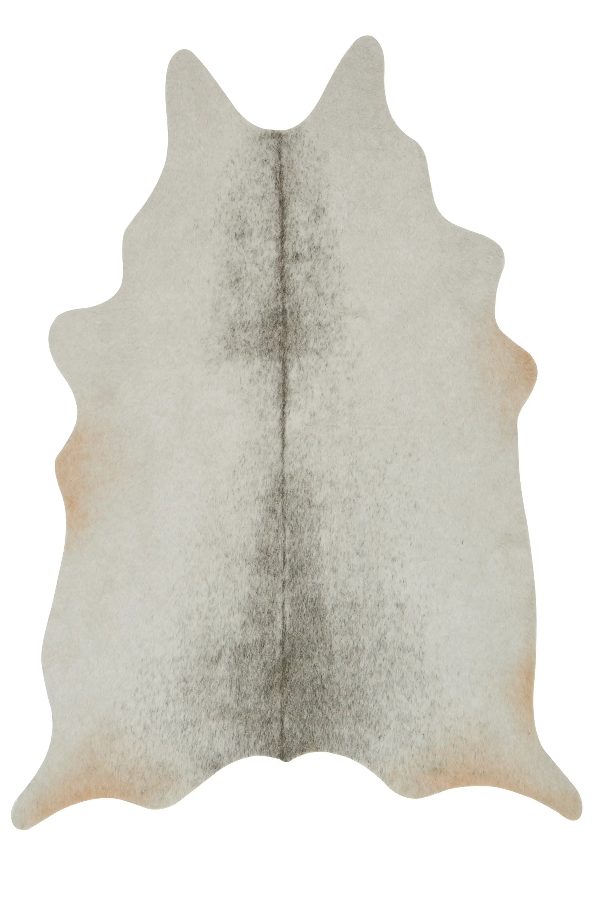 Grand Canyon GC-15 Silver / Grey Area Rug by Loloi