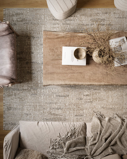 Momeni Haim HIM-2 Grey Rug