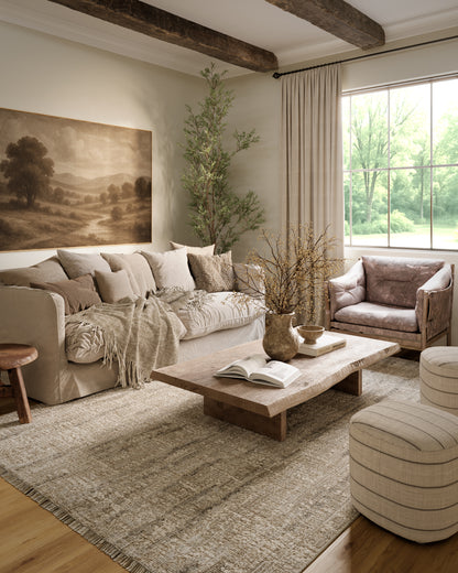 Momeni Haim HIM-2 Grey Rug