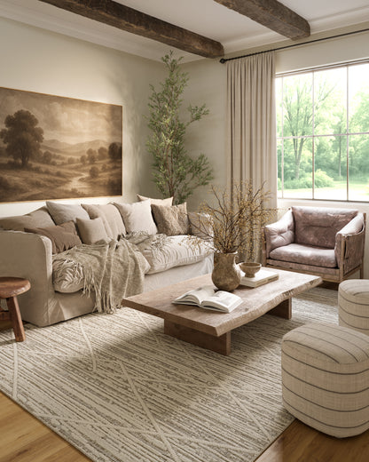 Momeni Haim HIM-2 Ivory Rug