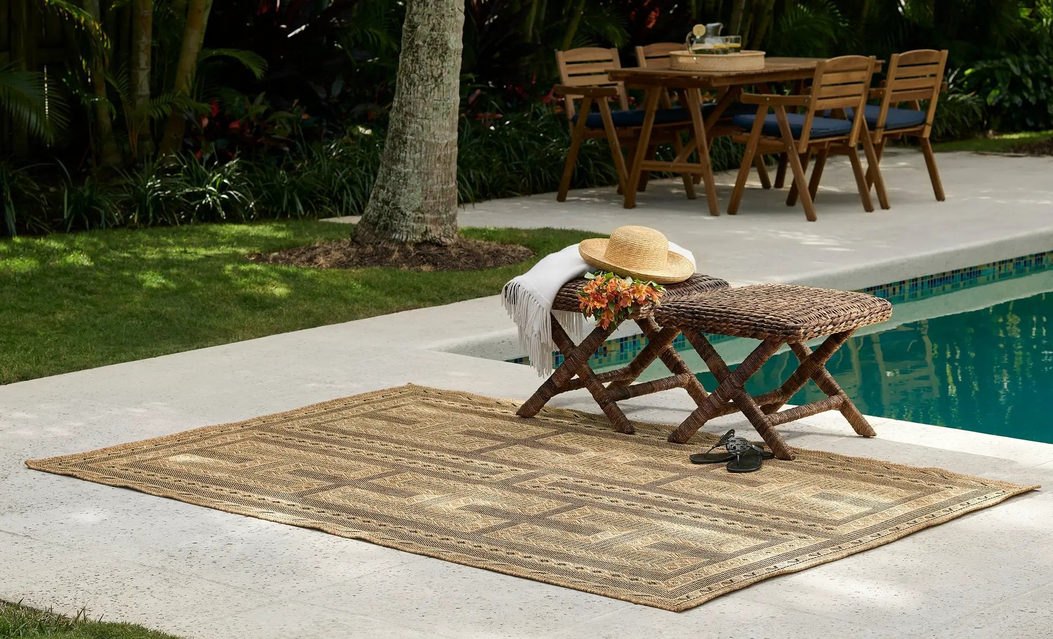 Hampton HAM-2 Natural Area Rug by Momeni