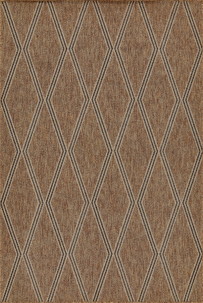 Momeni Hampton HAM-5 Natural Indoor/Outdoor Area Rug