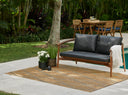 Momeni Hampton HAM-5 Natural Indoor/Outdoor Area Rug