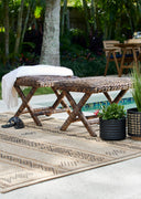 Momeni Hampton HAM-6 Natural Indoor/Outdoor Area Rug