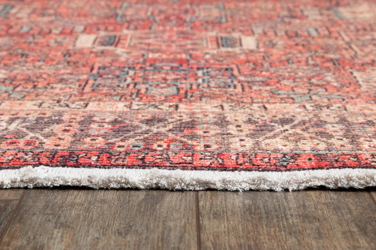 Helena HEL-6 Multicolor Area Rug by Momeni