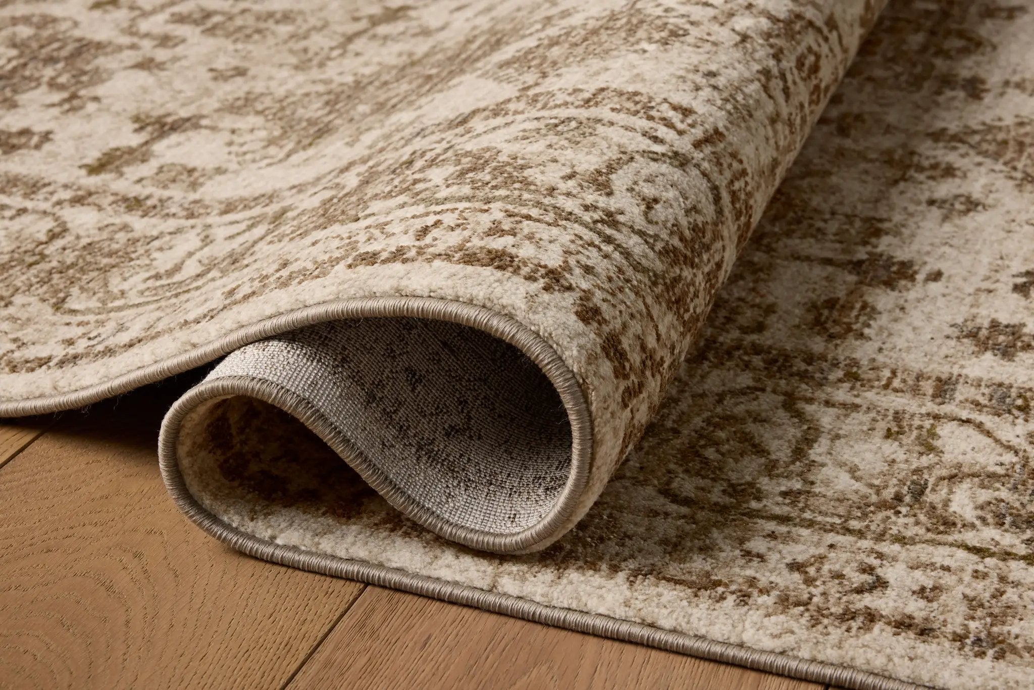 Haywood HYD-04 Ivory / Taupe Area Rug by Loloi