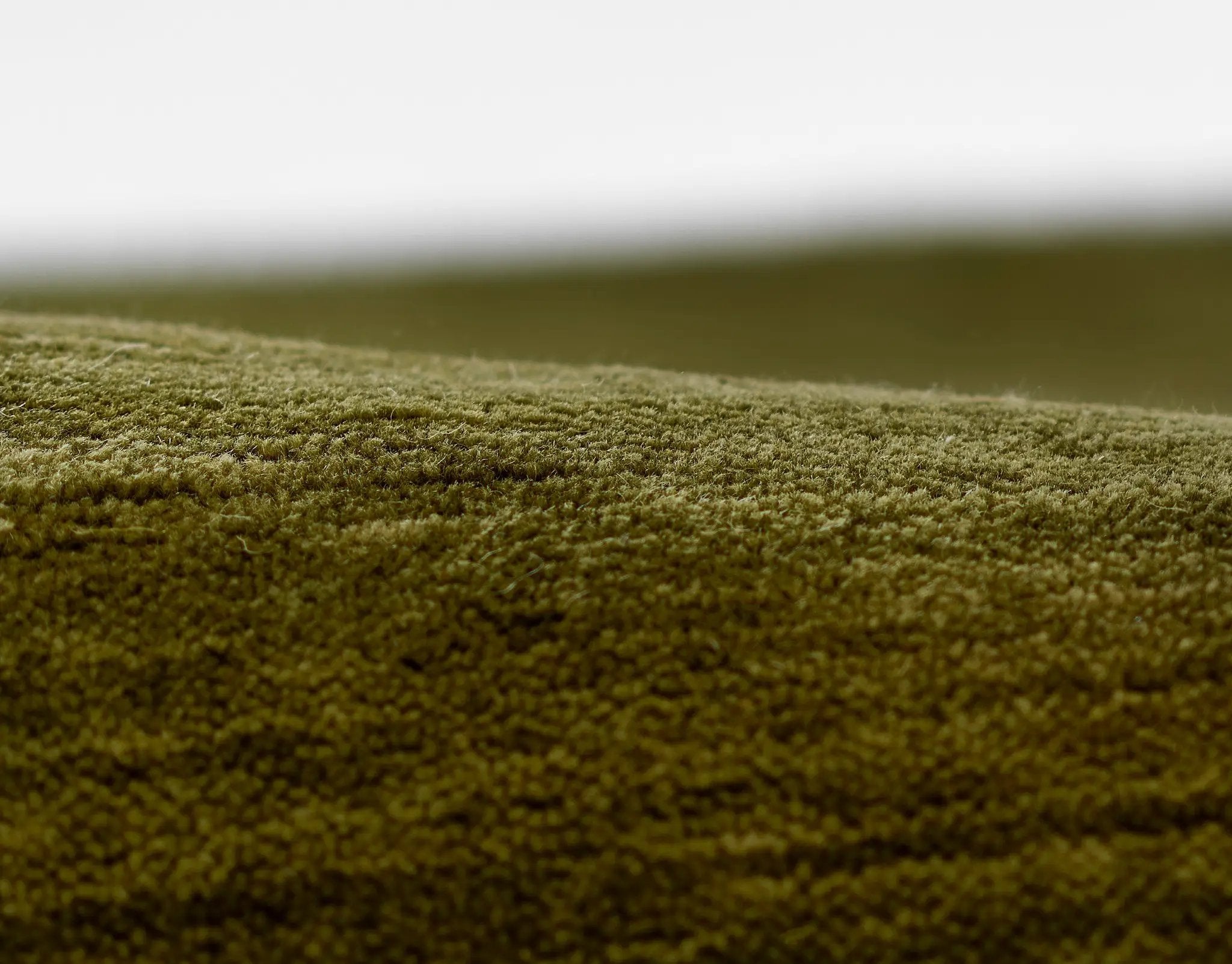 Iris IR-01 Green Area Rug by Novogratz by Momeni
