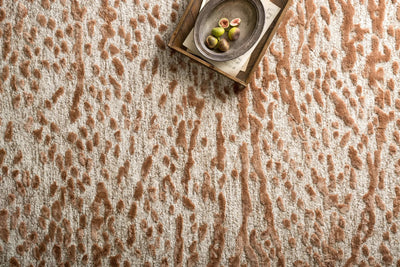 Juneau JY-01 Oatmeal / Terracotta Area Rug by Loloi