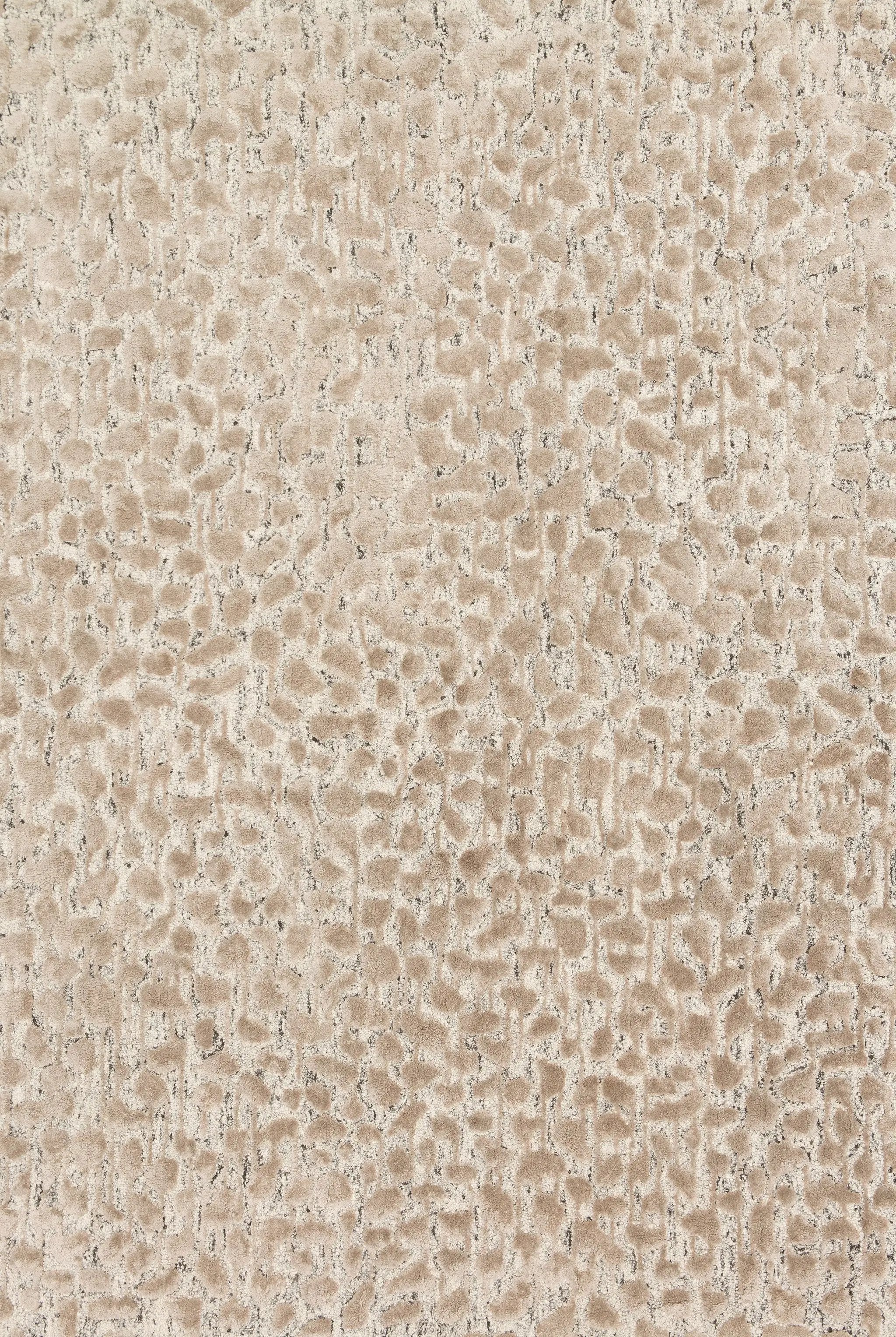 Juneau JY-02 Ash / Taupe Area Rug by Loloi
