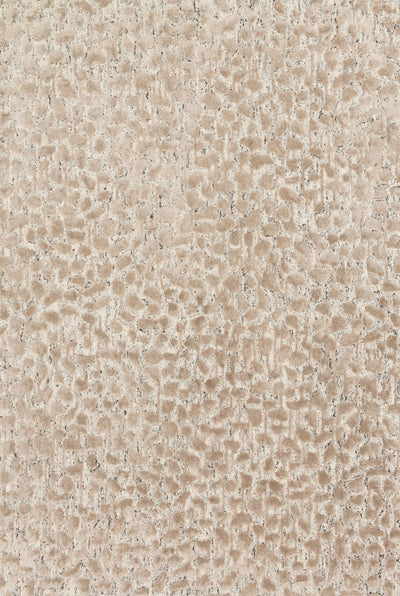 Loloi Juneau JY-02 Ash / Taupe Area Rug