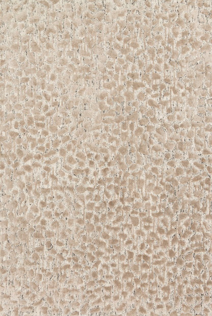 Loloi Juneau JY-02 Ash / Taupe Area Rug