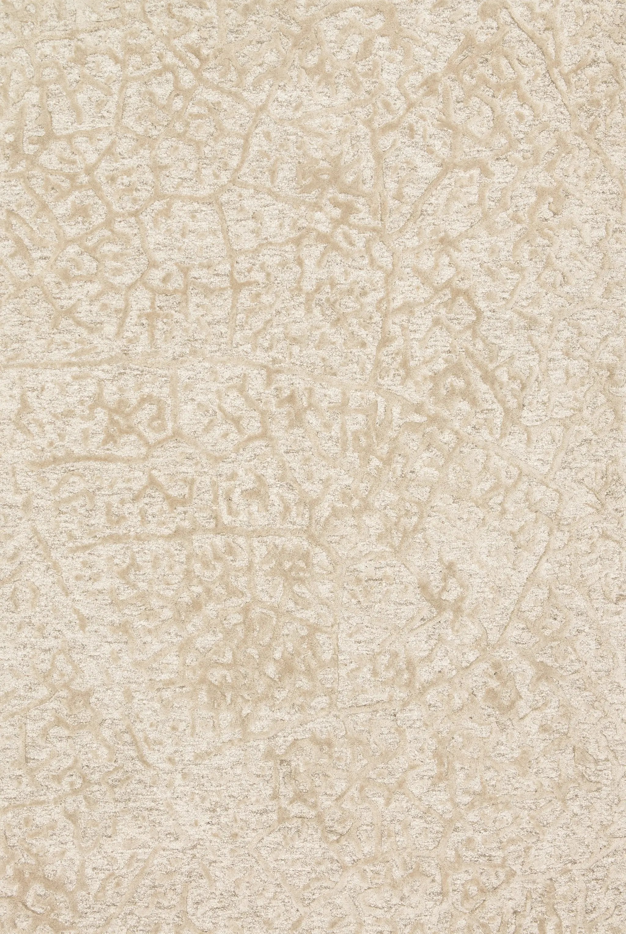 Juneau JY-03 Antique Ivory / Beige Area Rug by Loloi