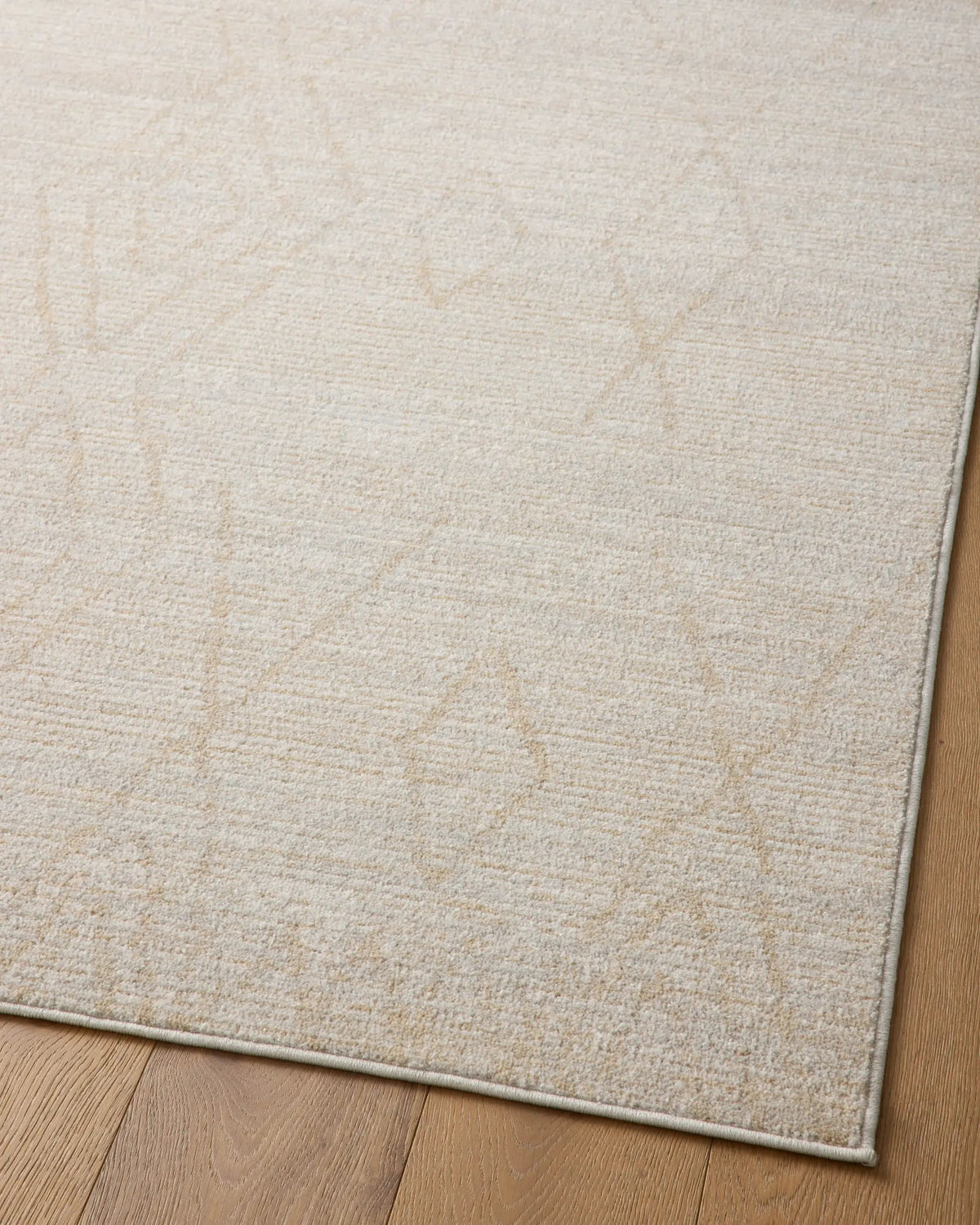 Kamala KAM-03 Natural / Mist Area Rug by Loloi