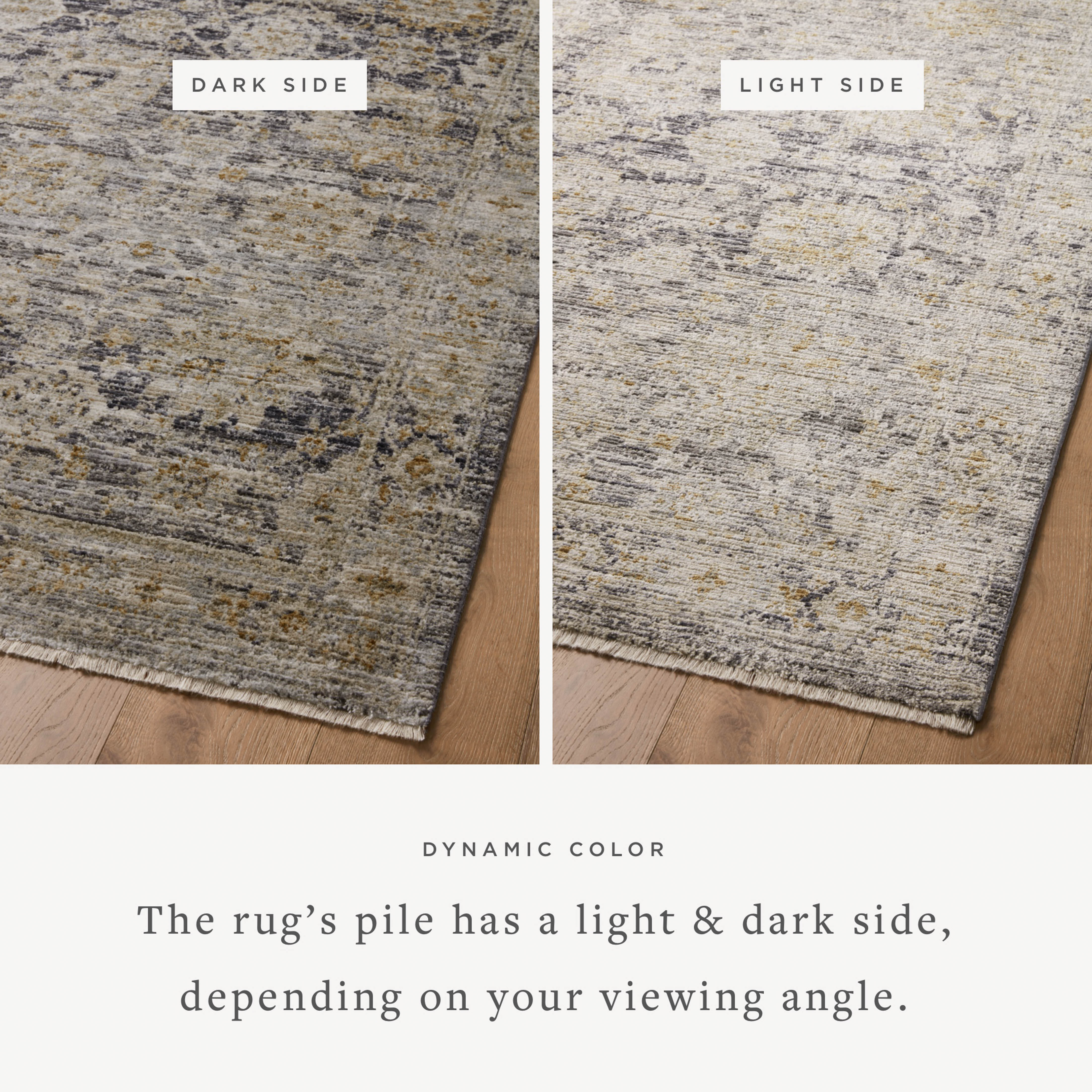 Jean Stoffer x Loloi Katherine KES-02 Charcoal / Gold Area Rug