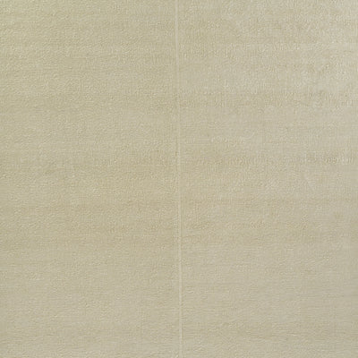 Pure Salt Koukila KOK-1 Ivory Hand Woven Area Rug by Momeni
