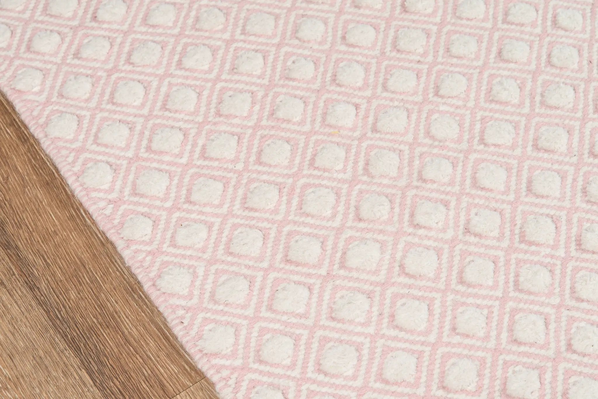 Langdon LGD-2 (Windsor) Pink Area Rug by Erin Gates by Momeni