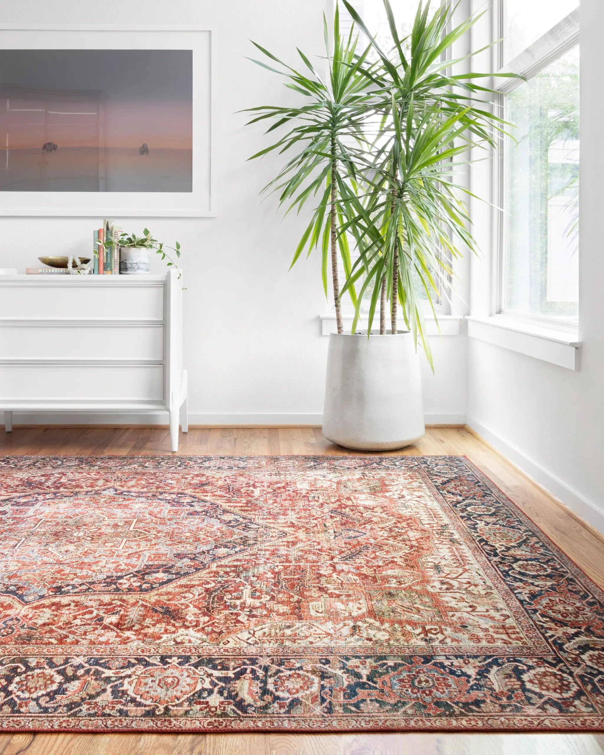 Layla LAY-08 Red / Navy Area Rug by Loloi
