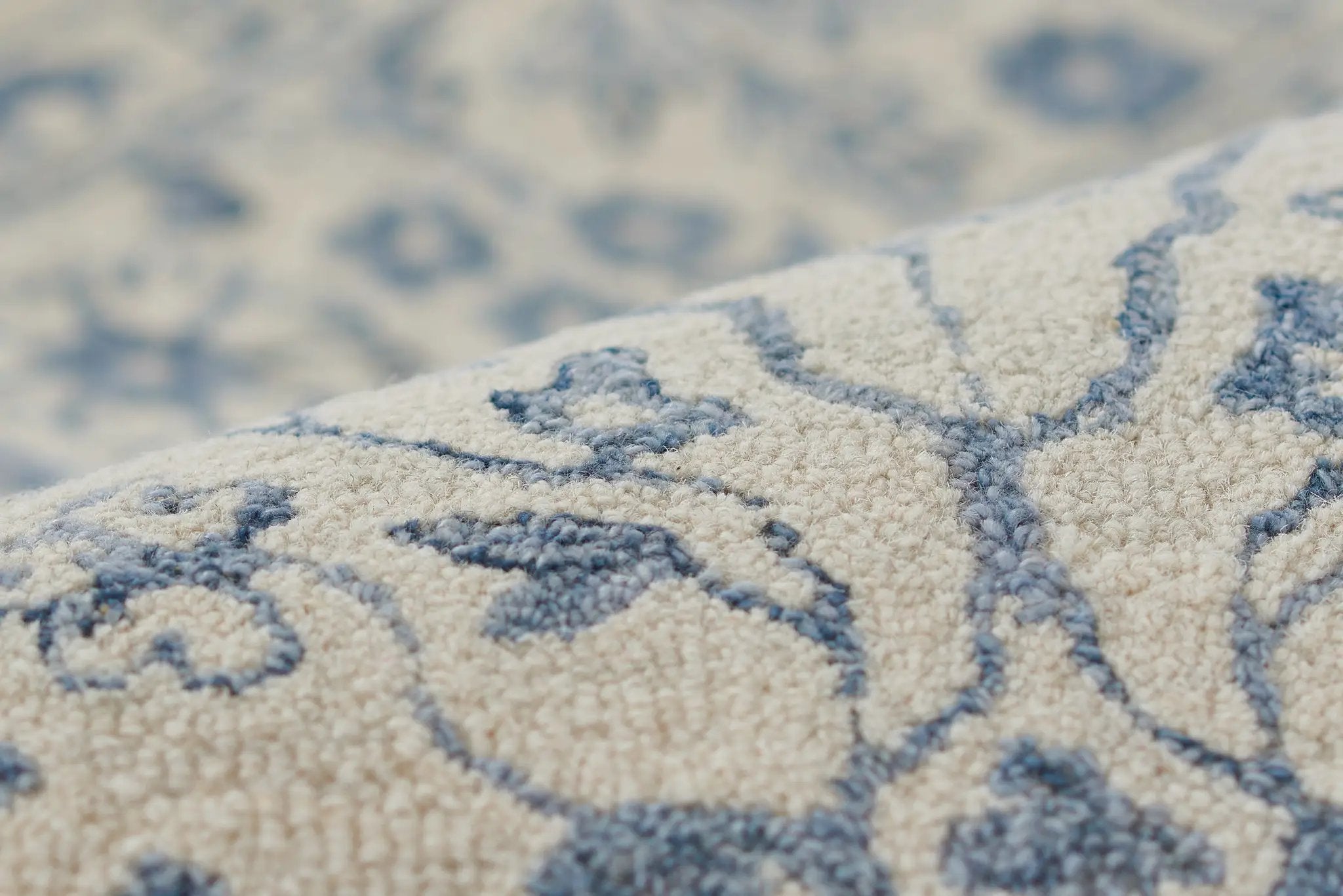 Leiden LEI-5 Ivory Area Rug by Momeni