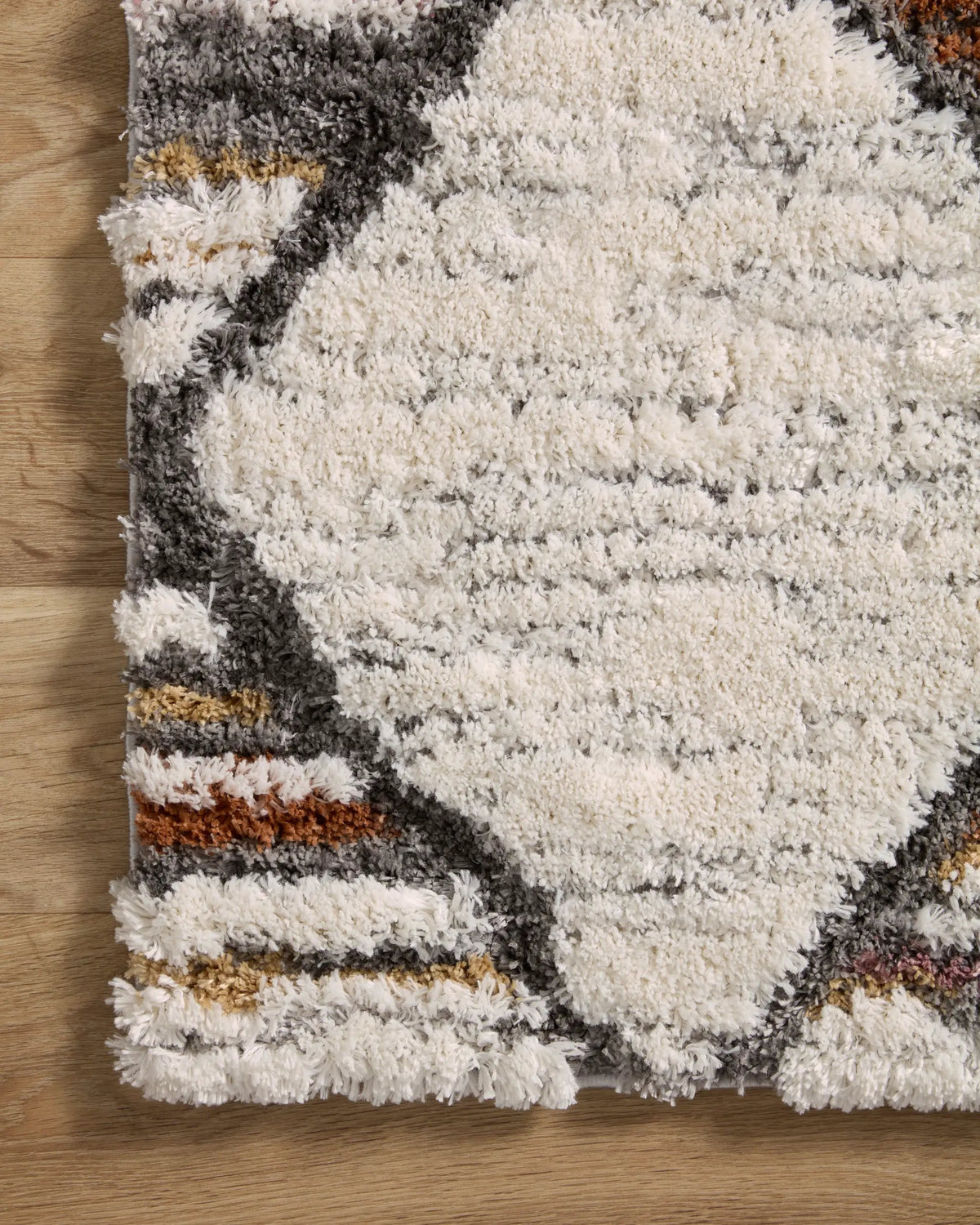 Levitt Shag LEV-05 Ivory / Fiesta Area Rug by Loloi