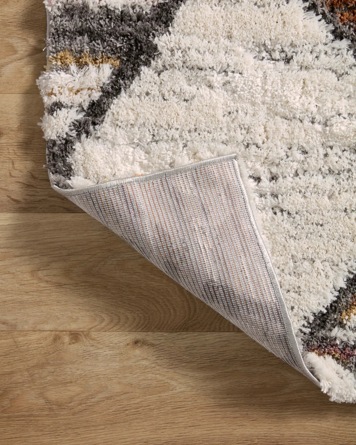 Levitt Shag LEV-05 Ivory / Fiesta Area Rug by Loloi