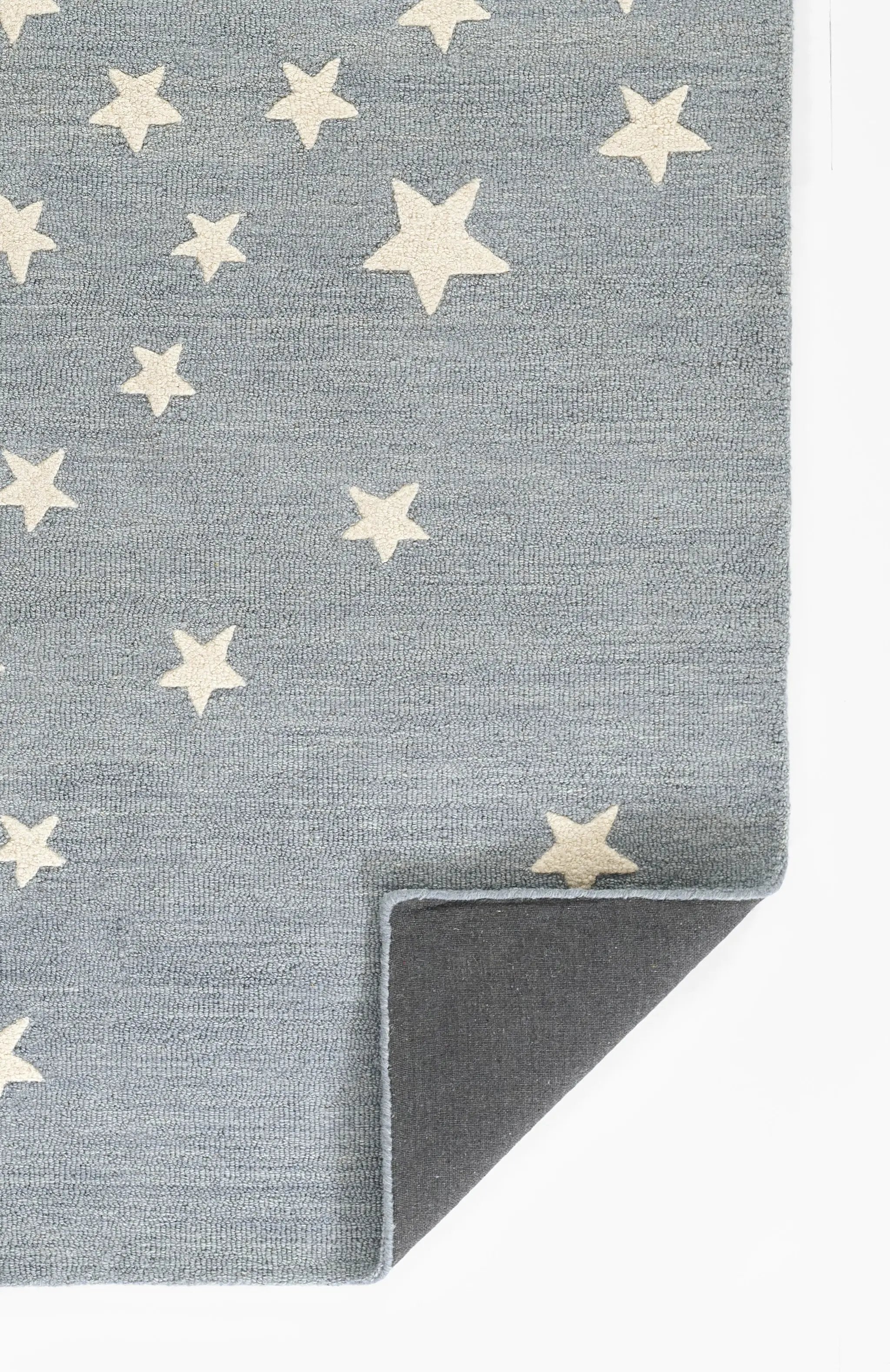 Lily LIY-4 Blue Area Rug by Momeni