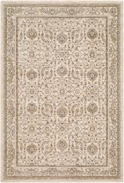 Arda ACZ-2301 Light Gray Area Rug with an intricate traditional pattern and a medium pile.