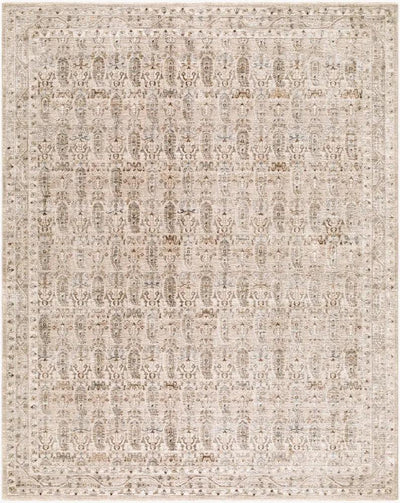 Arda ACZ-2310 Medium Gray Area Rug with intricate traditional patterns and a medium pile.