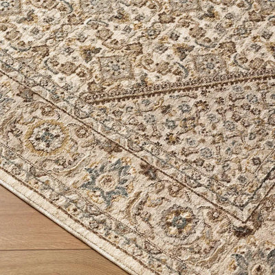 Close-up of the Arda ACZ-2315 Light Gray Area Rug showing intricate patterns and medium pile texture.