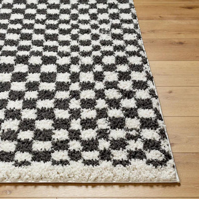 LIVABLISS Birmingham BMM-2319 Ivory / Black Area Rug