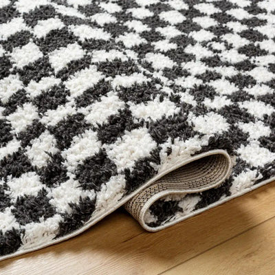 LIVABLISS Birmingham BMM-2319 Ivory / Black Area Rug