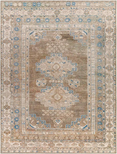 LIVABLISS Colin CLN-2303 Dusty-Sage Area Rug