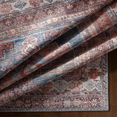 LIVABLISS Colin CLN-2305 Blue Area Rug