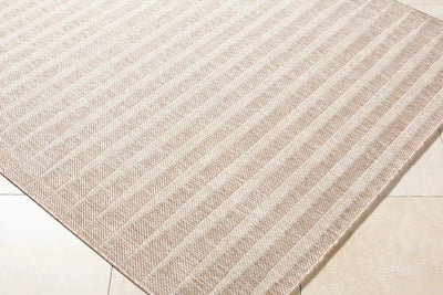Close-up of the Agave GAAG-2300 Tan Area Rug featuring a textured, striped pattern.