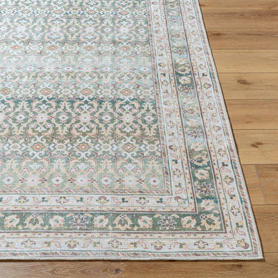 Rainier PNWRN-2304 Olive Area Rug
